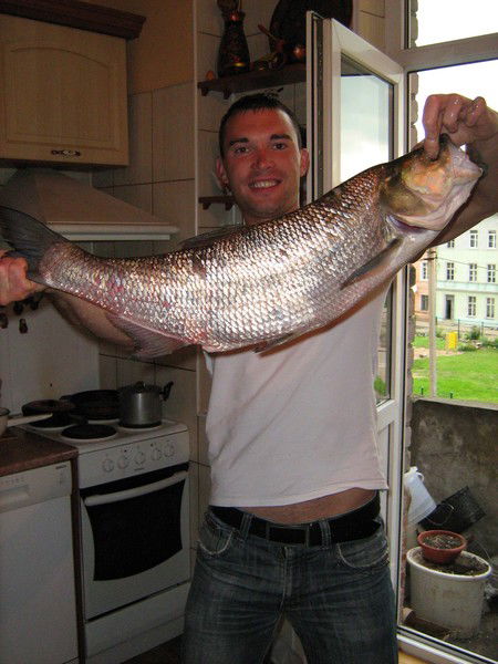 Александр Михалев