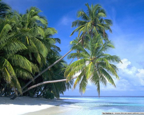 Джаббар Аллаяров