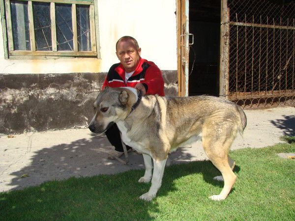 Виктор Окольский