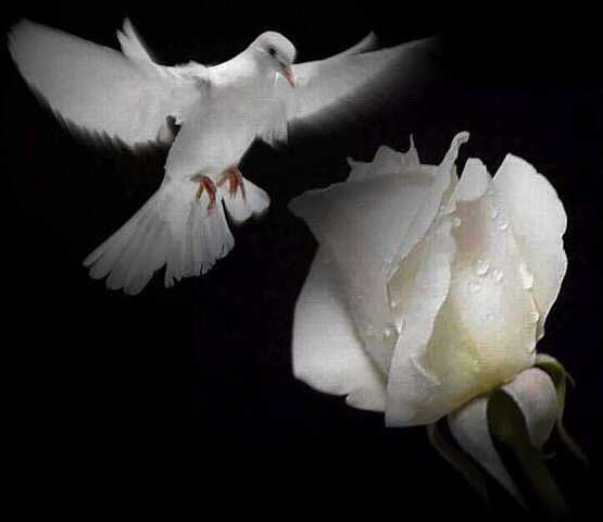 Назерке Абдихан