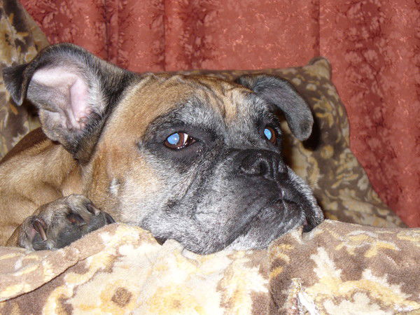 Римма Троцкая