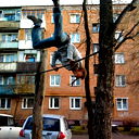 Станислав Мальцев