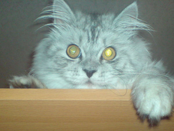 Александр Пузырьков