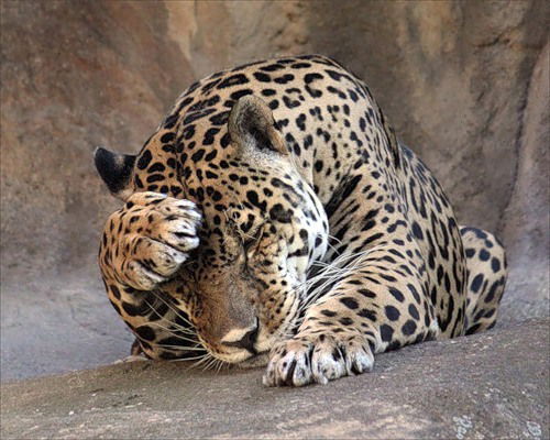 Азат Латипов