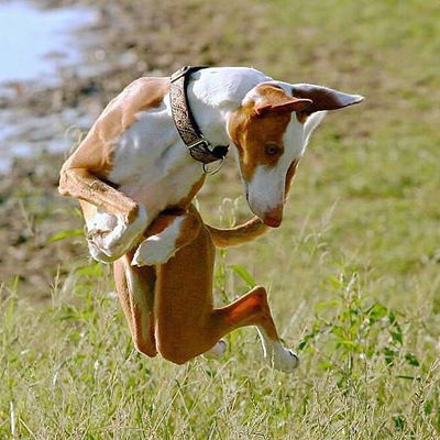 Татьяна Бронникова