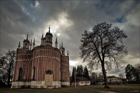 Алиса Гусева