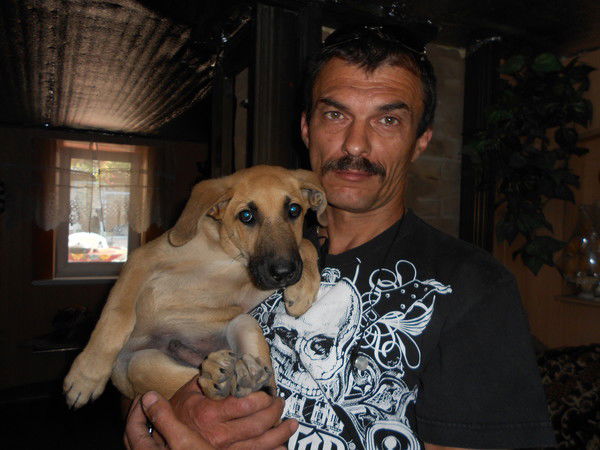 Александр Разводовский