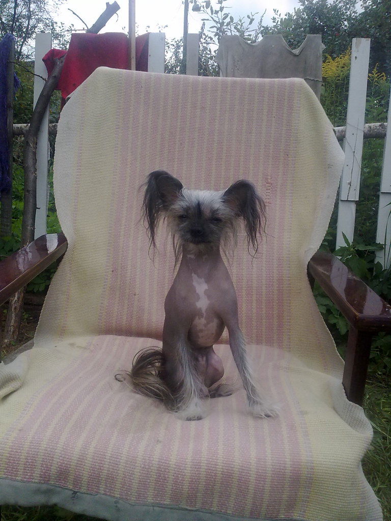 Виталий Зазыкин