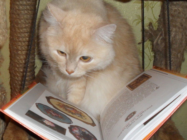 Светлана Филиппова