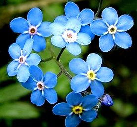 Любовь Васильева