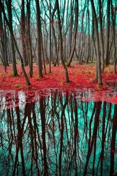 Дарья Корякова