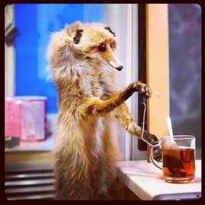 Галина Жолткевич