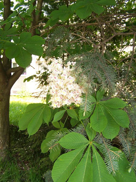 Любовь Узюм