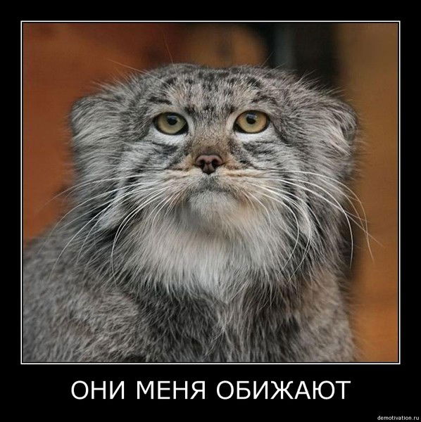 Ник Сестрин