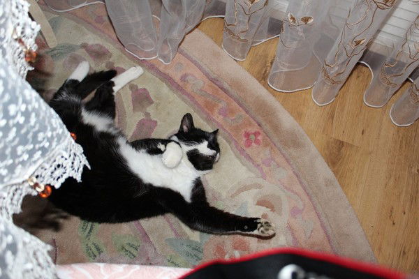 Татьяна Омельчак