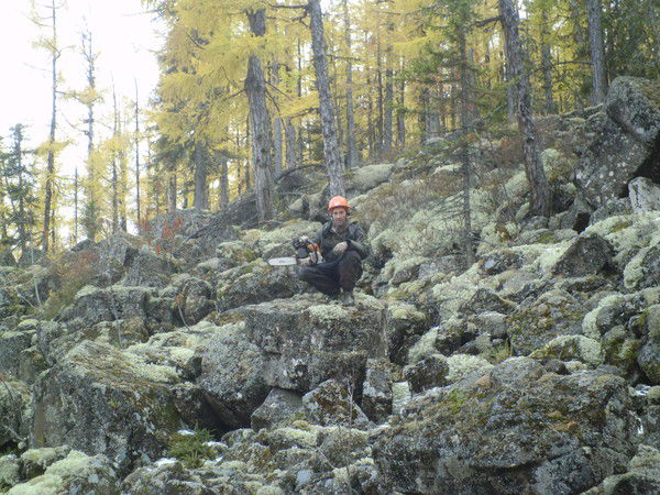 Вячеслав Двужилов