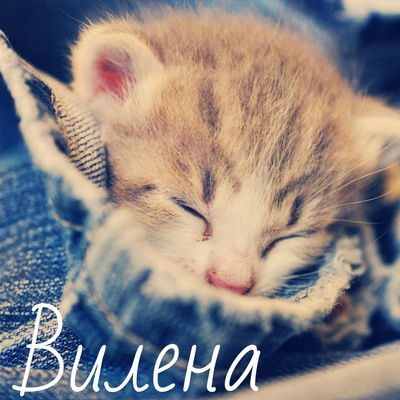 Вилена Вильданова