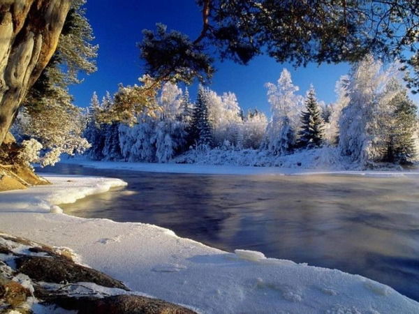 Эвелина Реймер