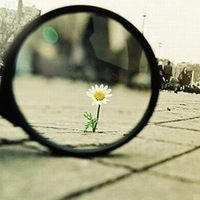 Іра Сластіон