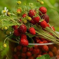 Ирина Попова