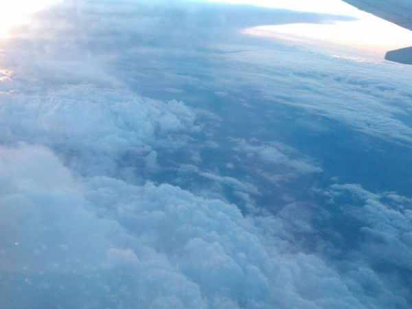 Елена Науменко