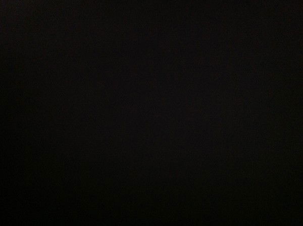 Екатерина Вадимовна