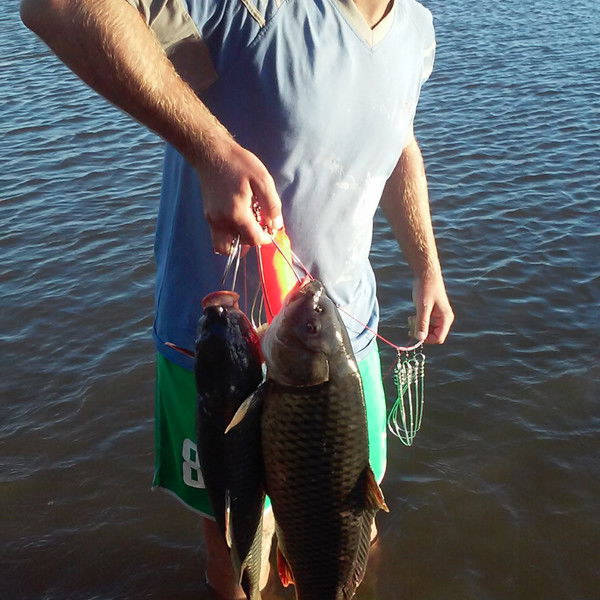 Алексей Климченко