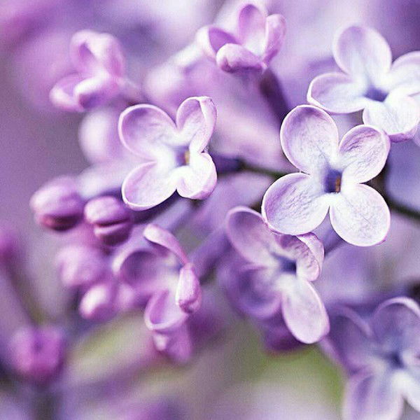 Екатерина Зуева