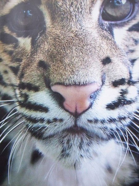 Алёна Бондарь