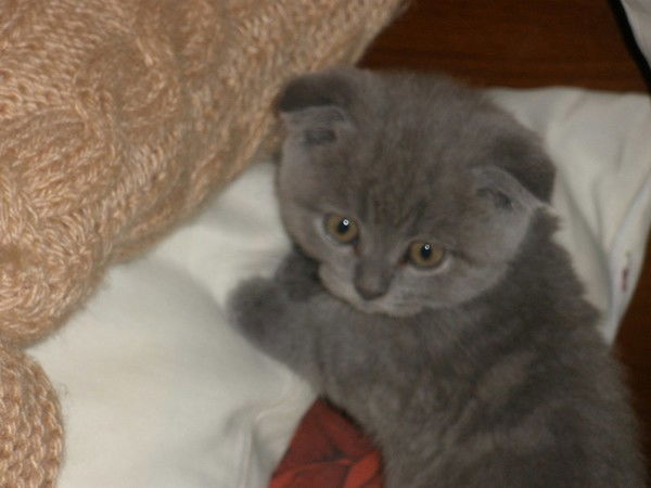 Марина Максимова