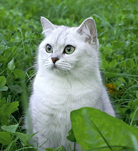 Марина Мызникова