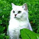 Марина Мызникова