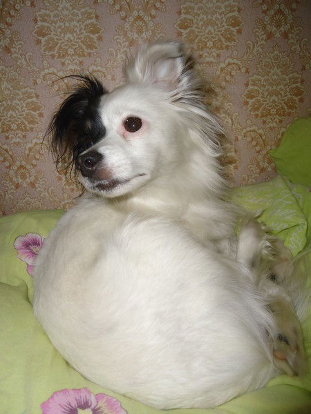 Ирина Назарова