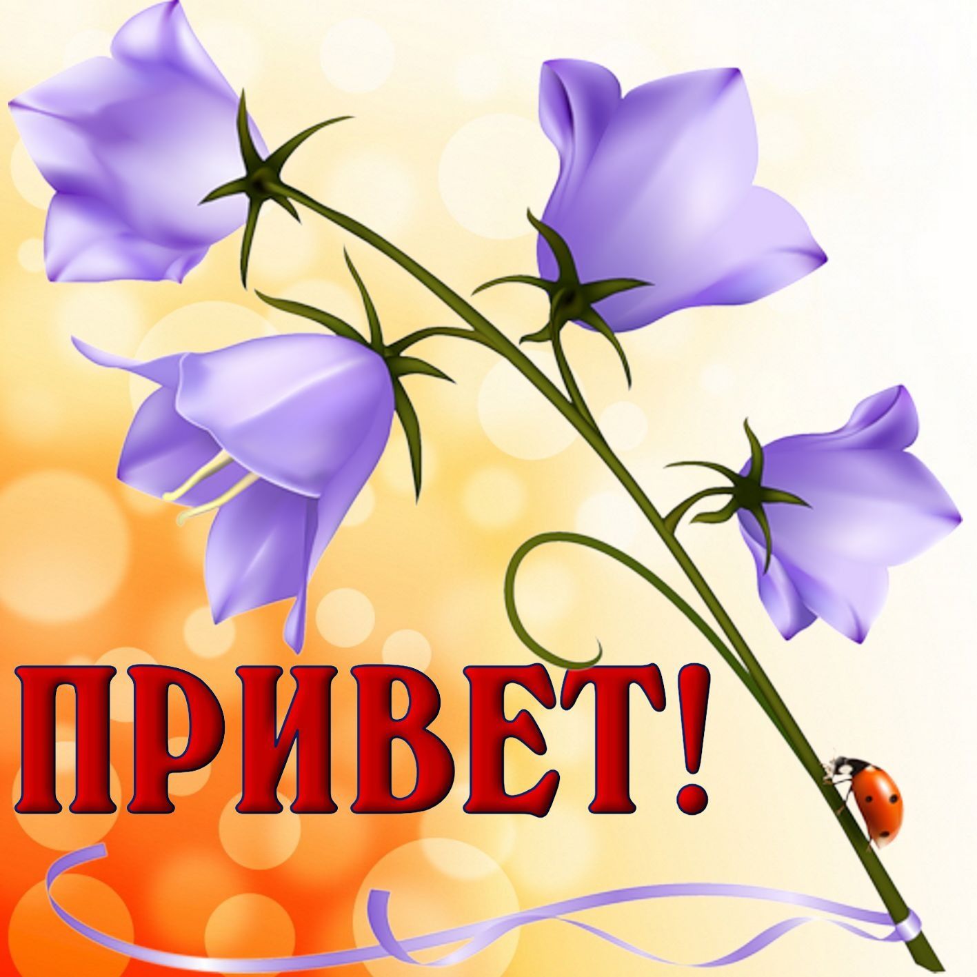 Ирина Малунцева