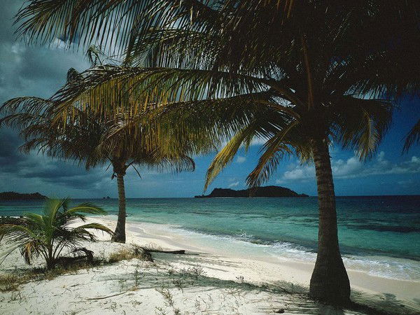 Анастасия Выборных