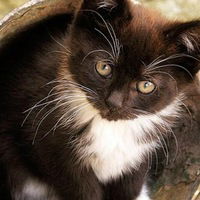 Юлия Щербакова