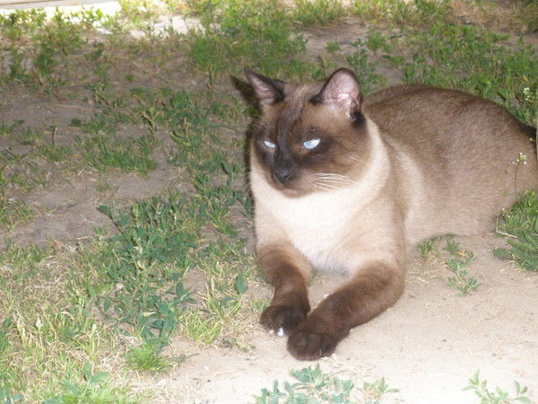 Вера Щеглова