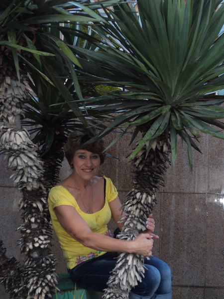 Светлана Семенова