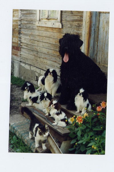 Наталья Бершадская