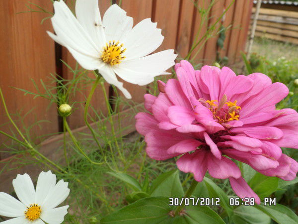 Марина Грачёва