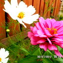 Марина Грачёва