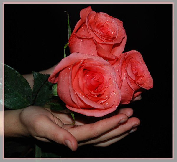 Нелли Касимбекова