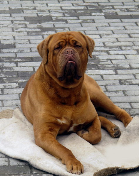 Татьяна *********