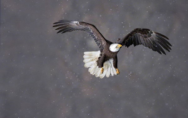 Guldana Tleubergenova