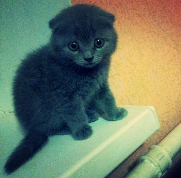 Сама Не Своя Куда Уж Твоя