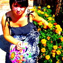 Елена Дреева