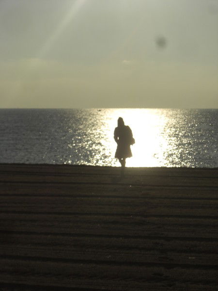 Елена Панфилова