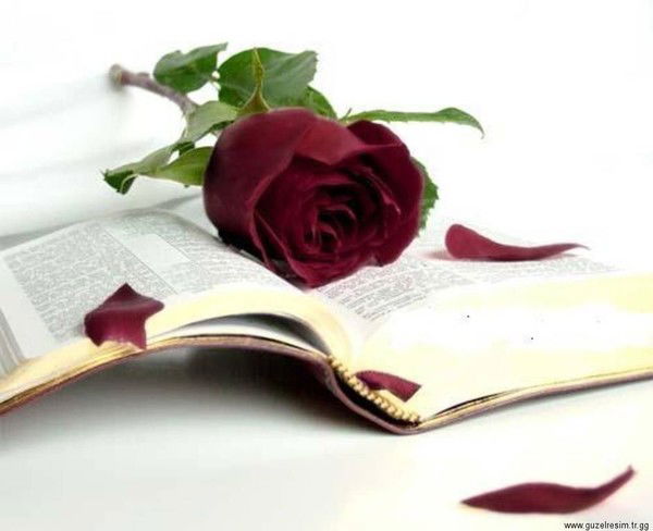 Раушан Айдарова