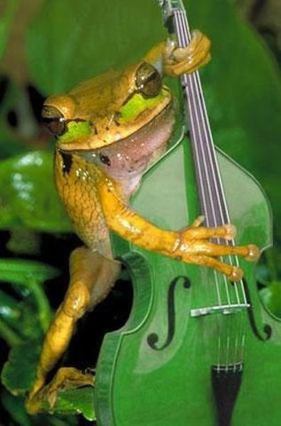 Вячеслав Глухов