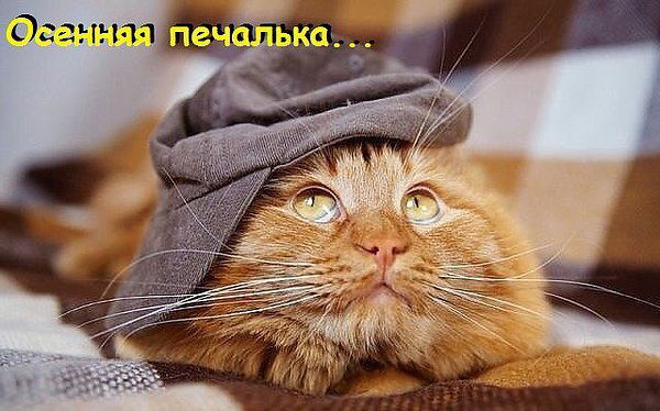 Люси Савельева